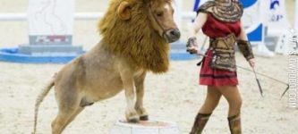 That%26%238217%3Bs+a+funny+looking+lion.