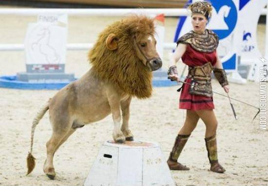 That%26%238217%3Bs+a+funny+looking+lion.