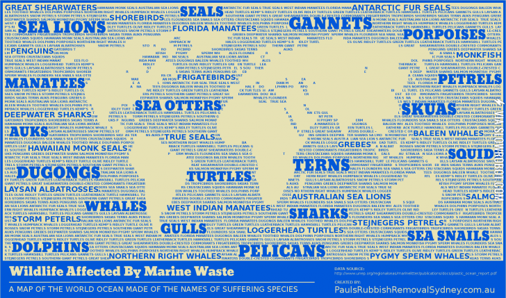 Text+Map%3A+Wildlife+Impacted+By+Ocean+Rubbish