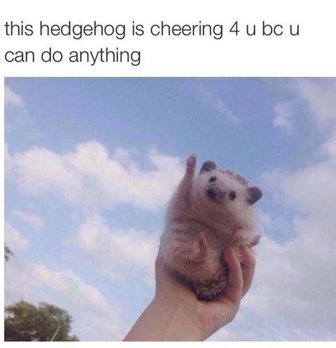 Have+a+good+day+everyone