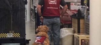 Vet+needs+service+dog.+Lowes+Home+Improvement+hires+both.