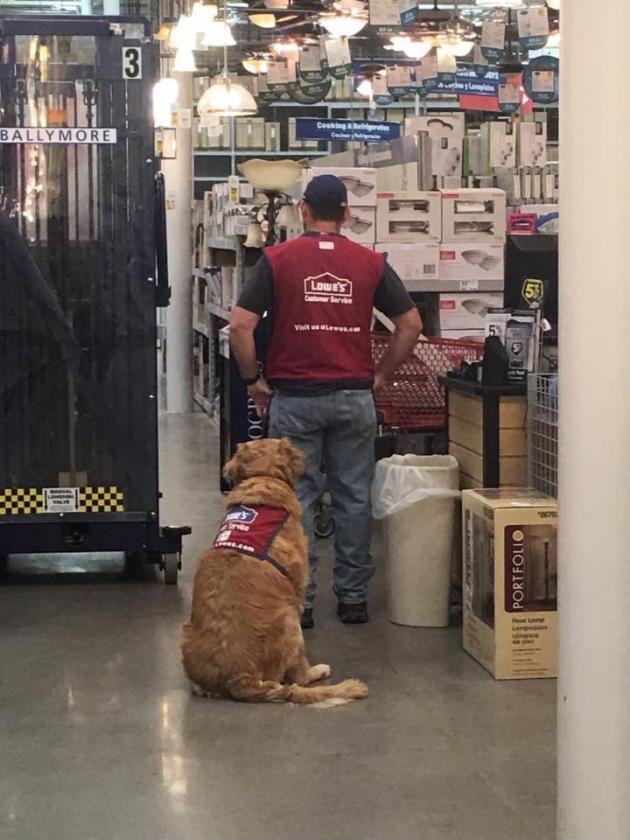 Vet+needs+service+dog.+Lowes+Home+Improvement+hires+both.
