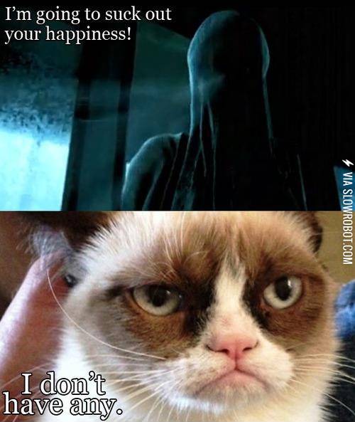 Grumpy+cat+meets+a+dementor.