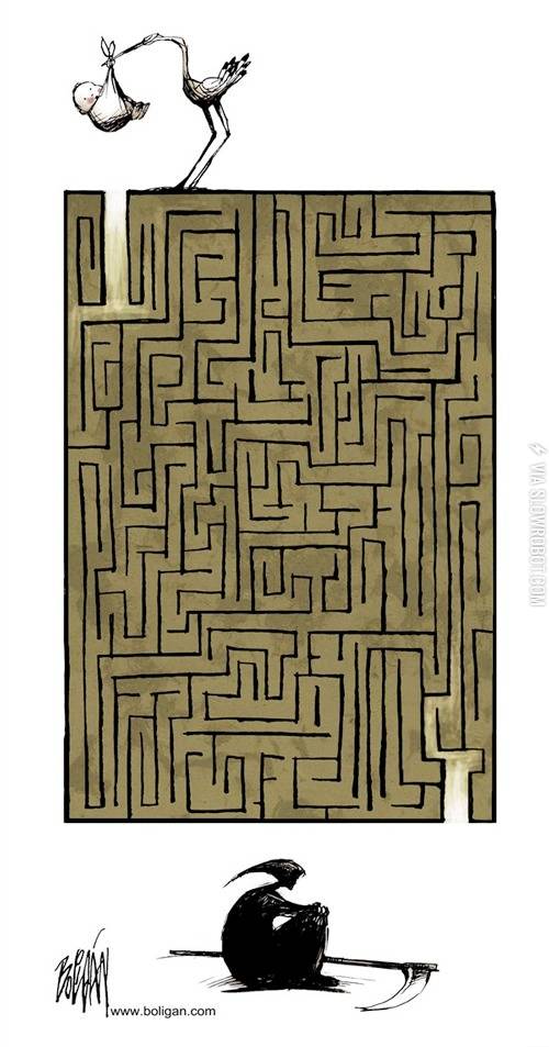 The+maze+of+life.