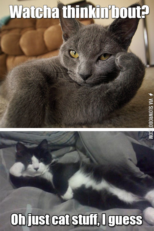 Watcha+thinkin%26%238217%3Bbout%3F