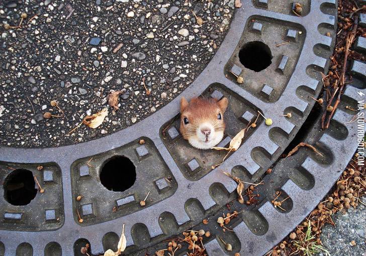 Halp%26%238230%3B+I+stuck.