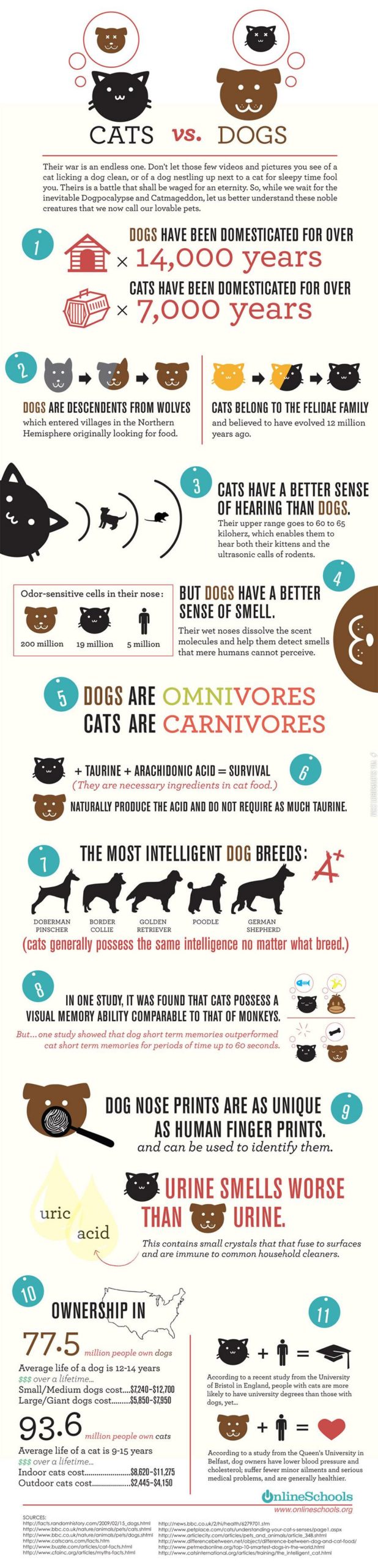 Cats+vs.+Dogs.