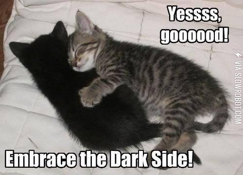 Embrace+the+Dark+Side%21