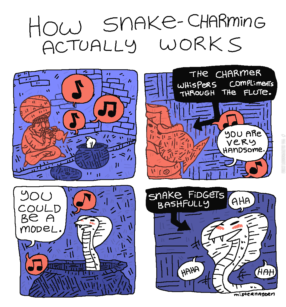 How+snake-charming+actually+works.