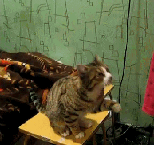 Pet+me+a+little%26%238230%3B+Like+this%26%238230%3B