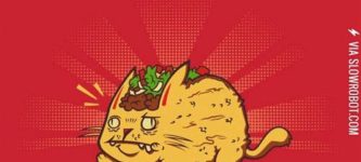 Taco+cat.