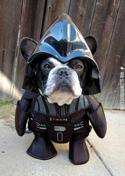 I+find+your+lack+of+doggy+treats+disturbing.