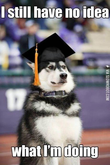 i+still+have+no+idea+what+i%26%238217%3Bm+doing