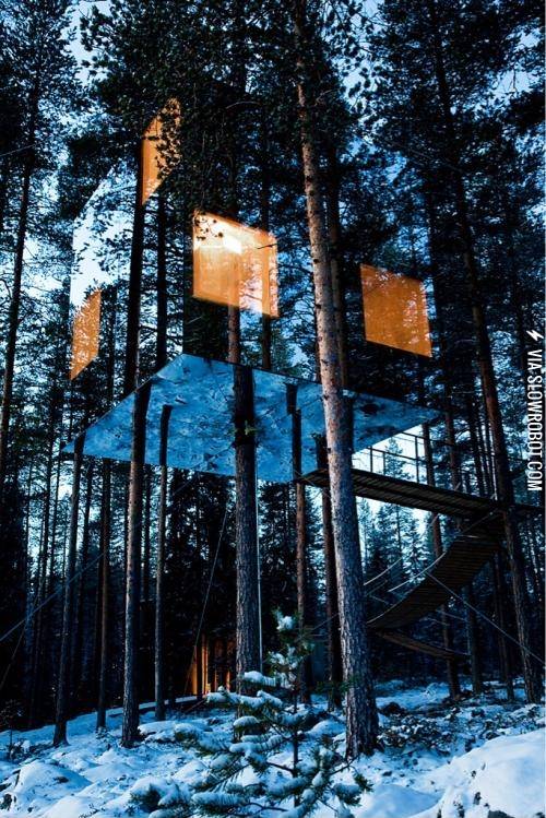 This+tree+house+is+made+of+mirrors.