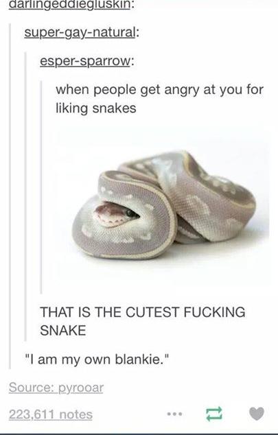 snek