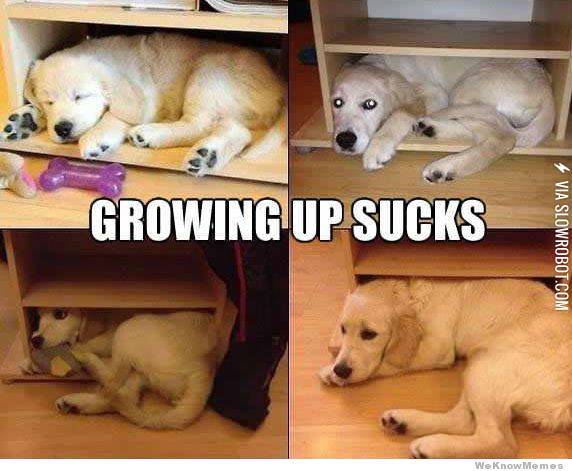 Growing+up+sucks