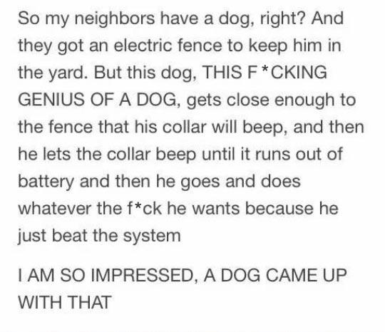 I+freaking+impressed.