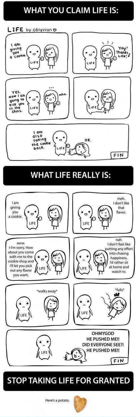 Perhaps+this+is+how+life+actually+goes