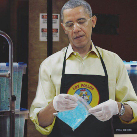 Obamas+new+job..