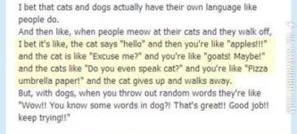 Cats+vs.+Dogs