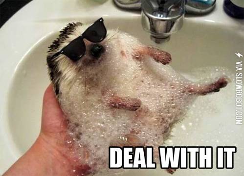 Deal+with+it.