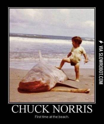 Chuck+Norris%26%238217%3B+first+time+at+the+beach.