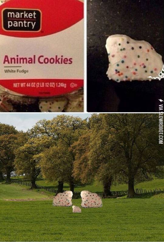 Animal+cookies.