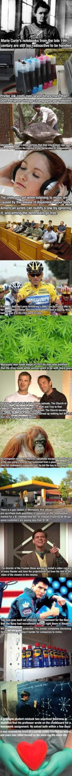 Some+interesting+facts.