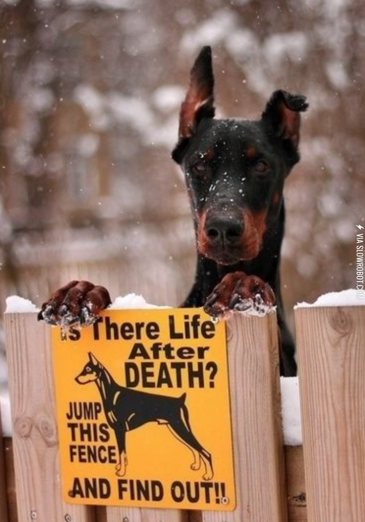 Is+there+life+after+death%3F