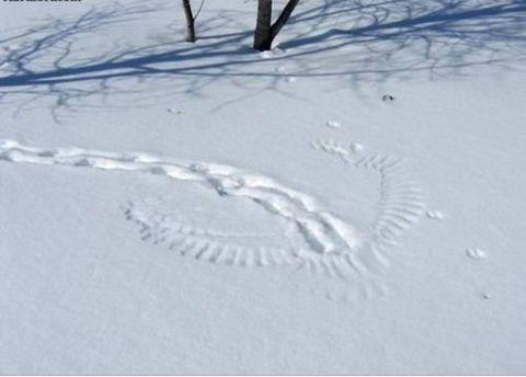 Aw%2C+the+bunny+turned+into+an+angel