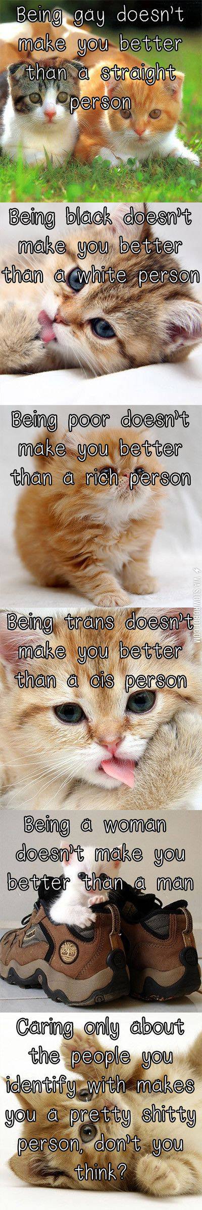 Kittens+that+speak+the+truth.