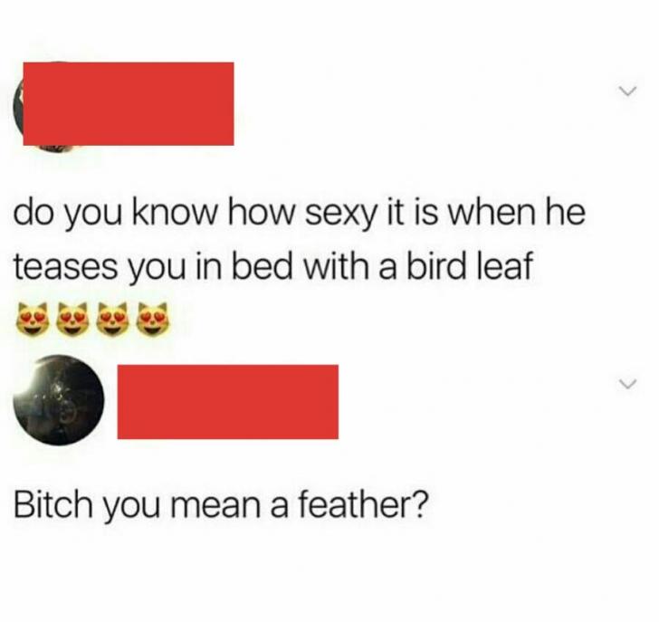 Bird+leaf