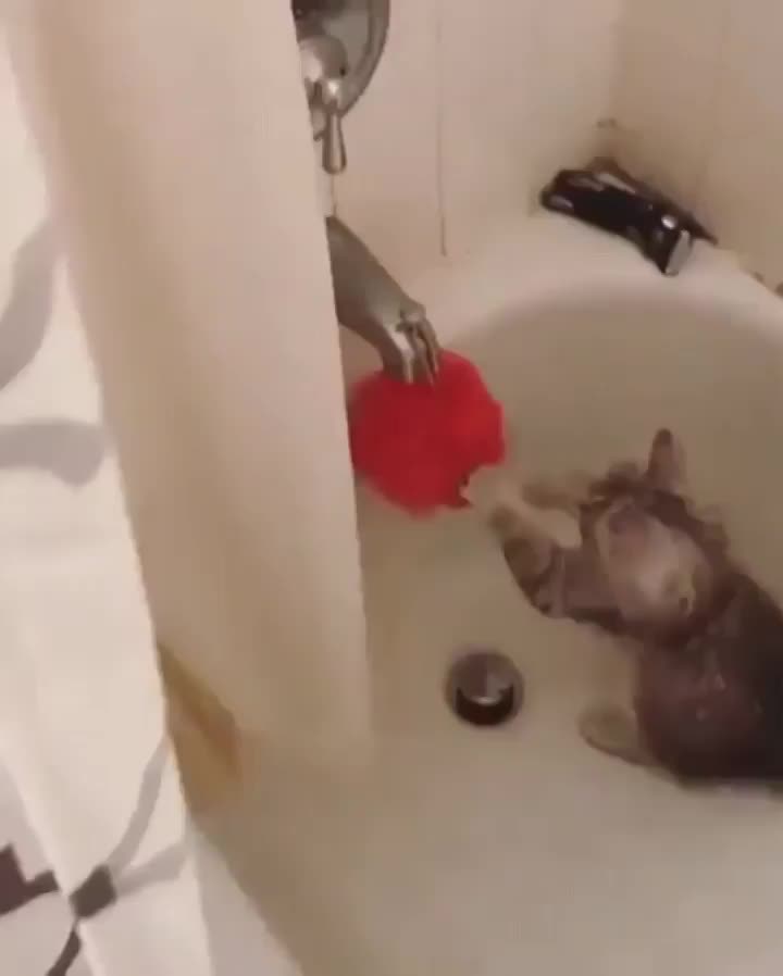 Training+for+the+big+match