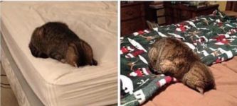 Me+In+November+Vs+Me+In+December