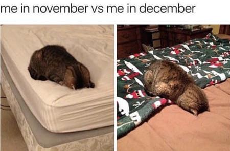 Me+In+November+Vs+Me+In+December