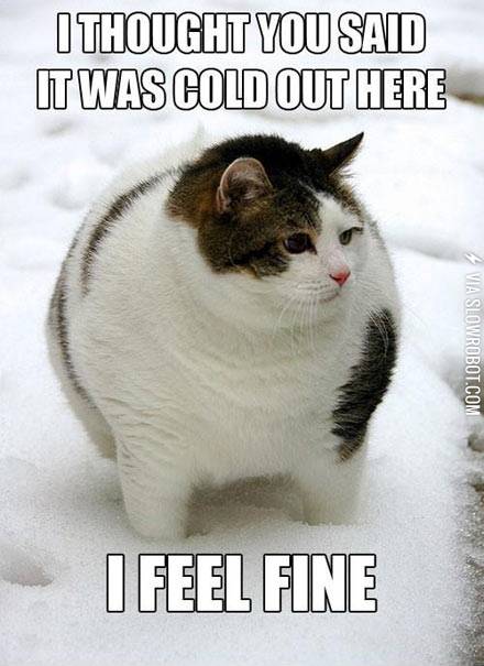 The+joys+of+being+fat.