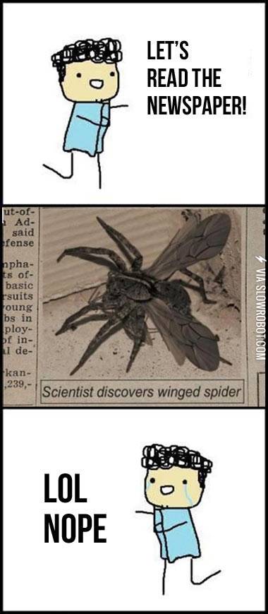 Scientist+discovers+winged+spider.