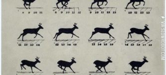 The+galloping+reindeer.