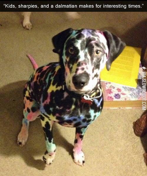 Now+let%26%238217%3Bs+see+if+the+dog+fits+in+the+washing+machine.