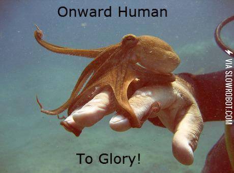 Conquest+of+the+Octopus