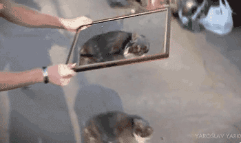 What+witchcraft+is+this%3F%21