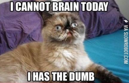 Every+time+I+have+an+exam.