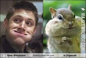 It%26%238217%3Bs+the+weekend%2C+GO+NUTS%21