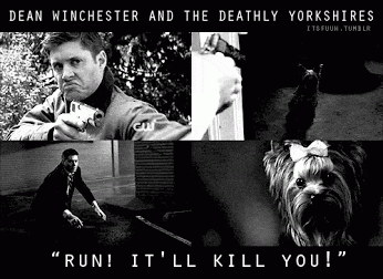 We+all+have+that+one+thing.