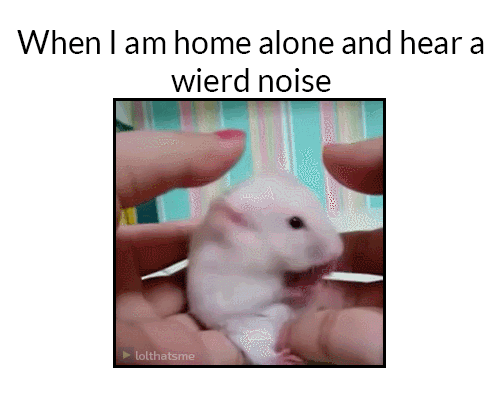 It+must+be+a+ghost%21