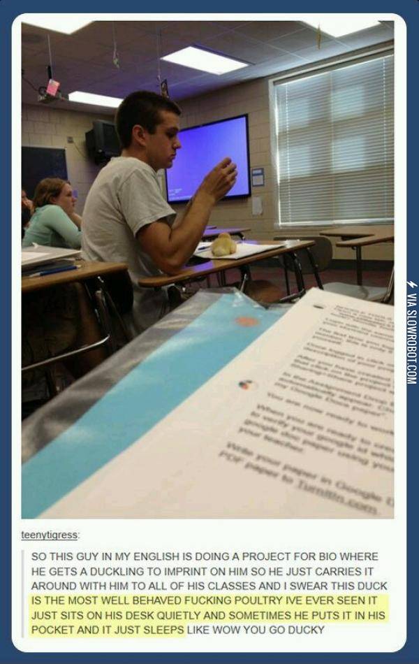 It%26%238217%3Bs+just+sitting+there