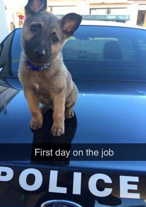 Even+a+burglar+couldn%26%23039%3Bt+resist