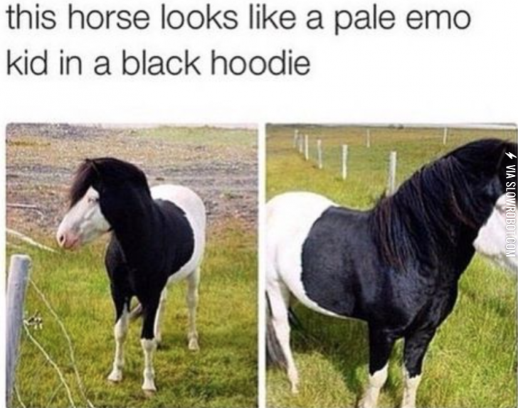Emo+horse.