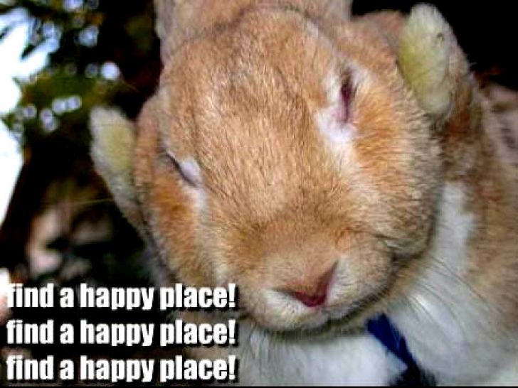 When+I+was+informed+I+still+have+biology+class+tomorrow+despite+the+blizzar