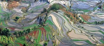 Rice+terraces+in+Yunnan%2C+China